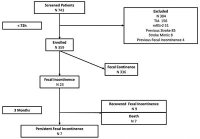 Current Incidence and Risk Factors of Fecal Incontinence After Acute Stroke Affecting Functionally Independent People
